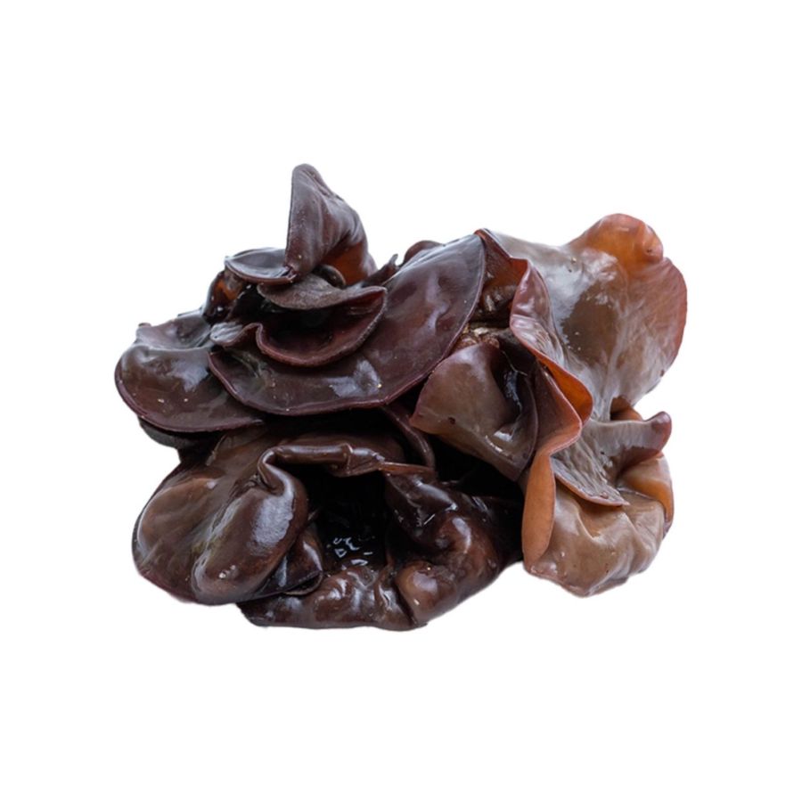 Jamur Kuping